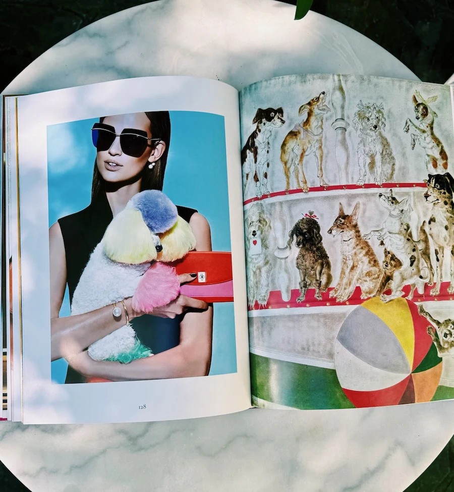Chic Dogs Book by Assouline - Image 4